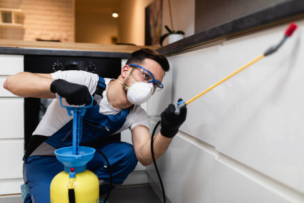 Best Pest Control for Businesses  in Plano, IL