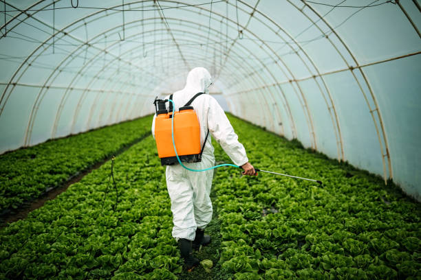 Best Residential Pest Control  in Plano, IL