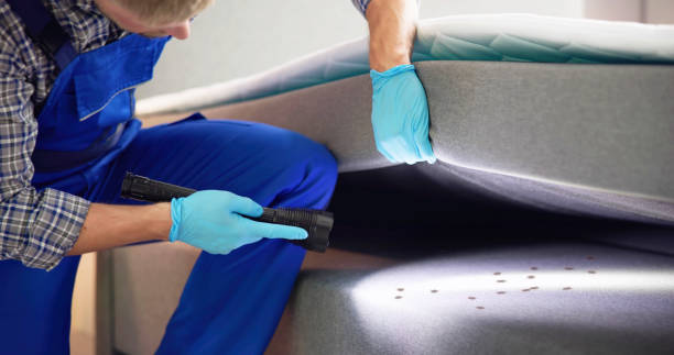 Best Rat Extermination Near Me  in Plano, IL