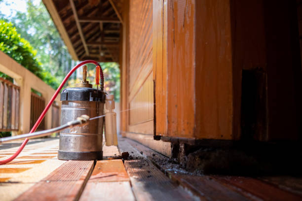 Best Termite Control Services  in Plano, IL