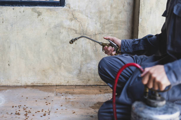 Best Commercial Pest Control Services  in Plano, IL